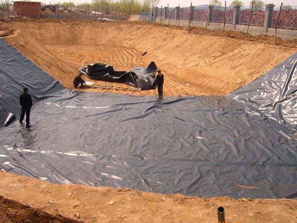 魚(yú)塘土工膜